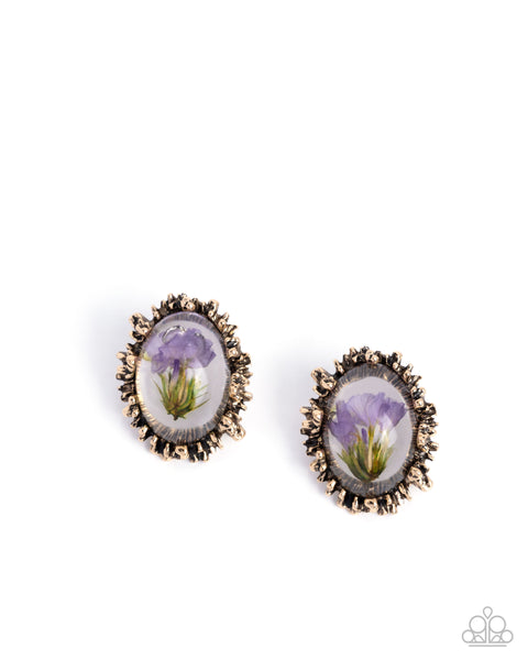 Elaborately Encased - Gold Earrings Paparazzi