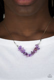 Back To Nature - Purple Necklace Paparazzi